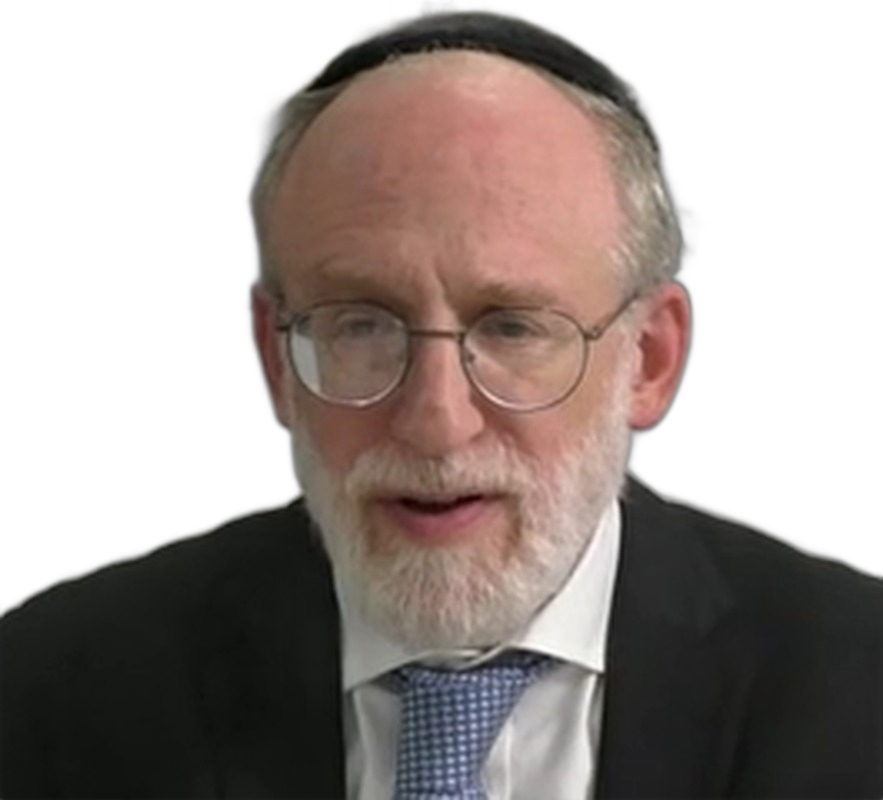 R' Yehudah Shmidman
