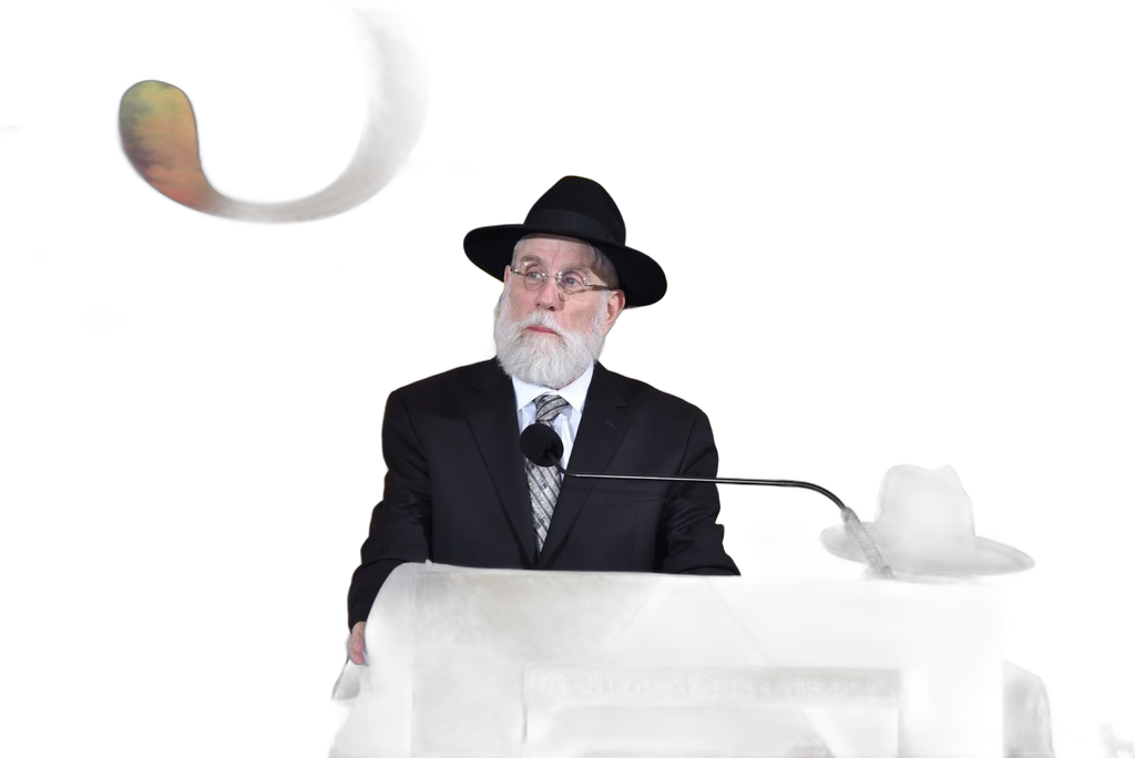 R' Dovid Turk